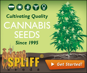 Banner Ad Design by neboica for this project | Design: #7149125