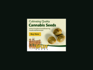 Banner Ad Design by yadunath for this project | Design: #7002968