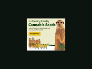 Banner Ad Design by yadunath for this project | Design: #7002985