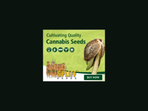 Banner Ad Design by yadunath for this project | Design: #7010605