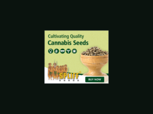 Banner Ad Design by yadunath for this project | Design: #7013622