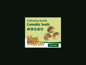 Banner Ad Design by yadunath for this project | Design: #7013743