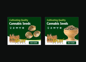 Banner Ad Design by yadunath for this project | Design: #7022278