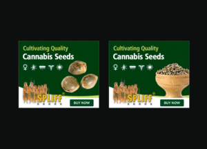 Banner Ad Design by yadunath for this project | Design #7036209