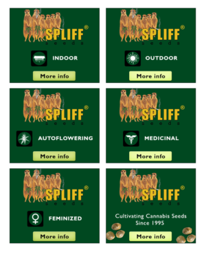 Banner Ad Design by Easy Flyer Design for this project | Design: #7089891