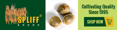 Banner Ad Design by Satish Patel for this project | Design #7003957