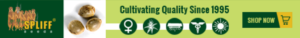Banner Ad Design by Satish Patel for this project | Design: #7003958