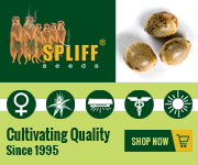 Banner Ad Design by Satish Patel for this project | Design: #7003961