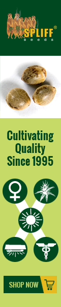 Banner Ad Design by Satish Patel for this project | Design: #7003962