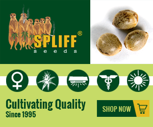 Banner Ad Design by Satish Patel for this project | Design: #7003963