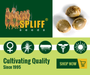 Banner Ad Design by Satish Patel for this project | Design: #7003964