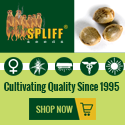 Banner Ad Design by Satish Patel for this project | Design: #7003965