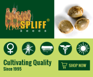Banner Ad Design by Satish Patel for this project | Design: #7010423