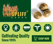 Banner Ad Design by Satish Patel for this project | Design: #7010426