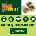 Banner Ad Design by Satish Patel for this project | Design: #7010427
