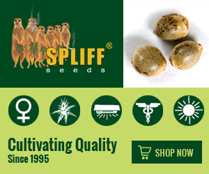 Banner Ad Design by Satish Patel for this project | Design: #7010429
