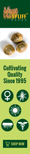 Banner Ad Design by Satish Patel for this project | Design: #7010430