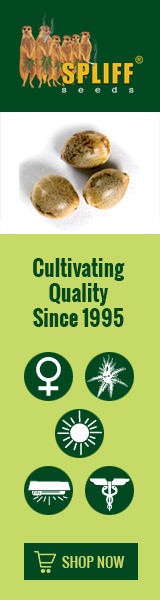 Banner Ad Design by Satish Patel for this project | Design: #7010432