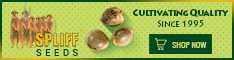 Banner Ad Design by Satish Patel for this project | Design: #7120482