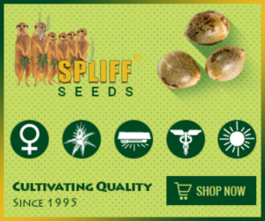 Banner Ad Design by Satish Patel for this project | Design: #7120485