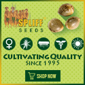 Banner Ad Design by Satish Patel for this project | Design: #7120486