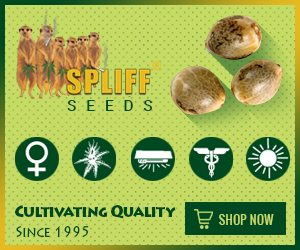 Banner Ad Design by Satish Patel for this project | Design: #7120487