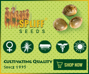 Banner Ad Design by Satish Patel for this project | Design: #7120489