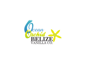 Diseño de Logo por baterman2015 para este proyecto | Diseño #7065720