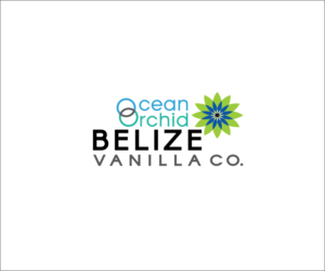 Logo Design by Stefan
