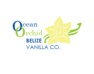 Logo Design by Kevin Musprett for this project | Design: #6990081