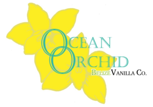 Logo Design by WTFSamson for this project | Design: #7007971