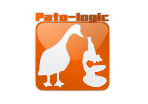 Logo Design by BudoReflex