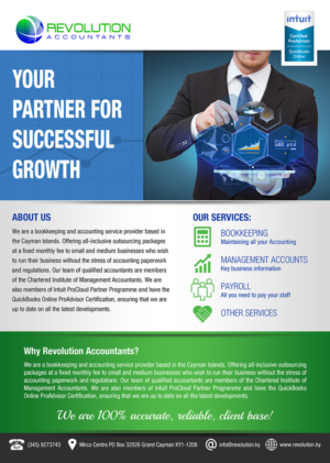 Design de Flyer par VEGA-Designs pour Revolution Accountants | Design : #7065495