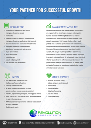 Design de Flyer par VEGA-Designs pour Revolution Accountants | Design : #7065496