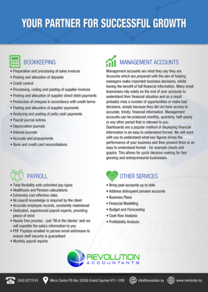 Design de Flyer par VEGA-Designs pour Revolution Accountants | Design : #7068984