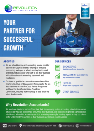Design de Flyer par VEGA-Designs pour Revolution Accountants | Design : #7068985