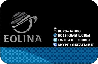 Business Card Design by conceptbuilder for EOLINA | Design #374450