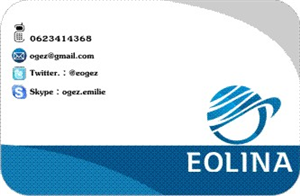 Business Card Design by conceptbuilder for EOLINA | Design: #374483