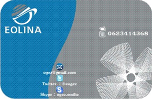 Business Card Design by conceptbuilder for EOLINA | Design: #374504