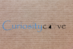 Logo Design by pgleason00 for this project | Design: #7005972