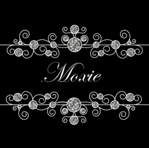 Logo Design by Nikolic94