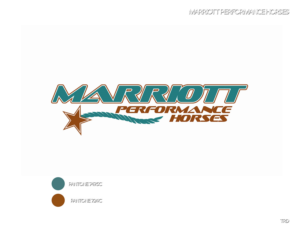 Logo Design by trdebose