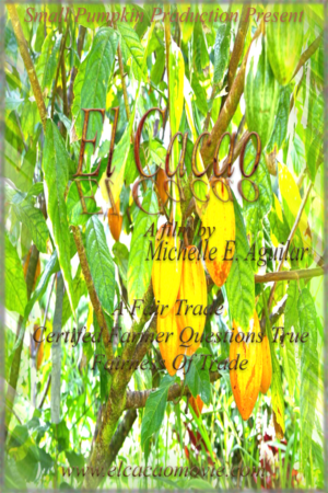 Poster Design by Swon