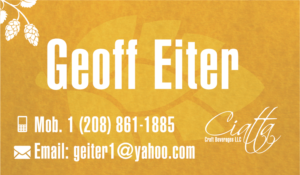 Business Card Design by Aaron B. Mint Fish Media for this project | Design: #7020132