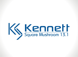 Logo Design by ESolz Technologies