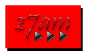 Logo Design by Swon
