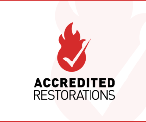 Logo Design by Bear Claw Design for Edified Pty Ltd | Design: #7034371