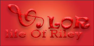 Logo Design by Swon