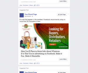 Banner Ad Design by pivotaldesign.biz for Visions of Health | Design: #7100460