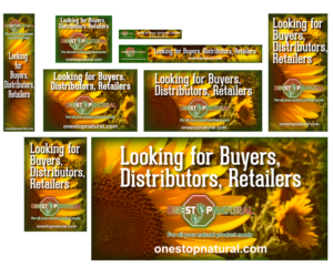Banner Ad Design by iD_intelligentDesign for Visions of Health | Design: #7046496